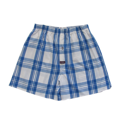 Cobalt Check Boxers